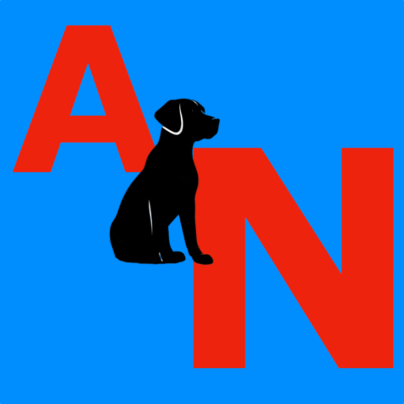 A&N logo